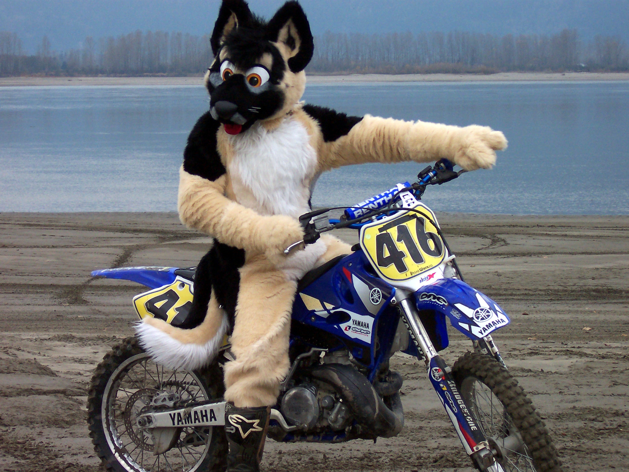 NitroShep Fursuit Motocross Picture